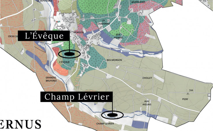 L’Évêque / Champ Lévrier