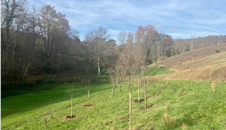 Plantations de haies et d’arbres fruitiers aux abords des parcelles de Régnié